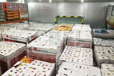 Congelador congelado da sala fria do armazenamento do alimento do projeto da sala fria de baixa temperatura queijo grande
