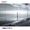 Congelador rápido industrial do jato de ar do congelador do túnel de 1000KG/H IQF