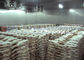 1000 de R22 R404a toneladas de sala fria do grande congelador para galinhas dos peixes da carne