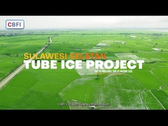Projeto de gelo de tubo 30 toneladas Máquina de gelo de tubo de baixo consumo de energia e alta produção